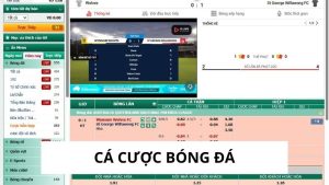 Cá Cược Bóng Đá