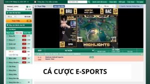 cá cược e-sports