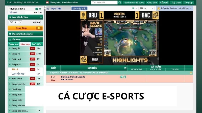 cá cược e-sports