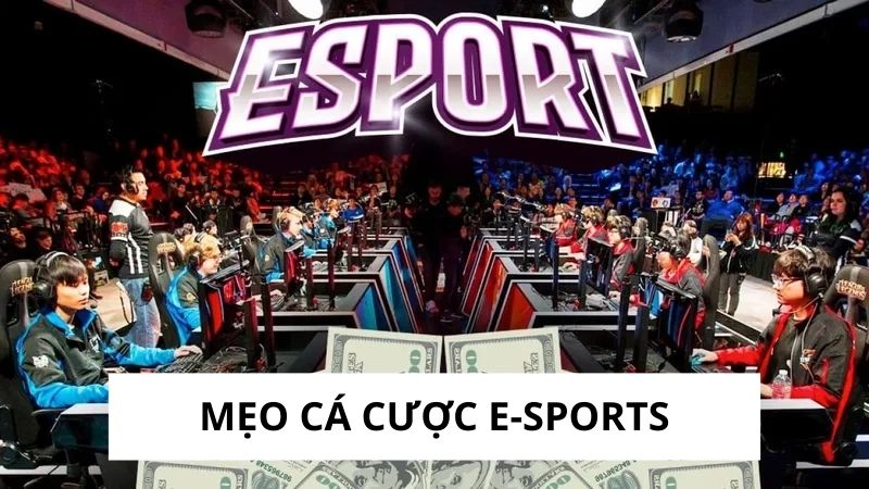 Mẹo Cá Cược E-sports